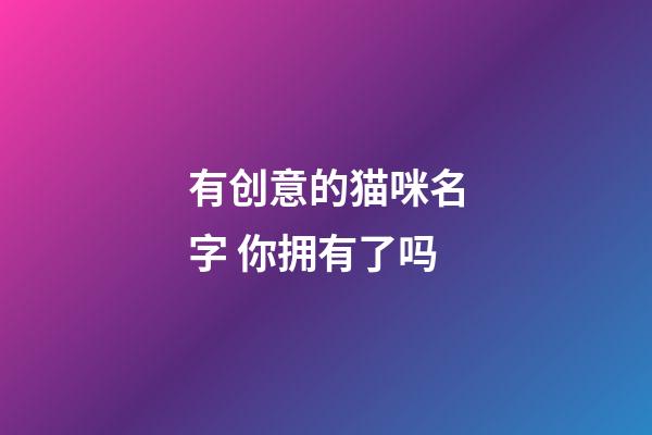 有创意的猫咪名字 你拥有了吗
